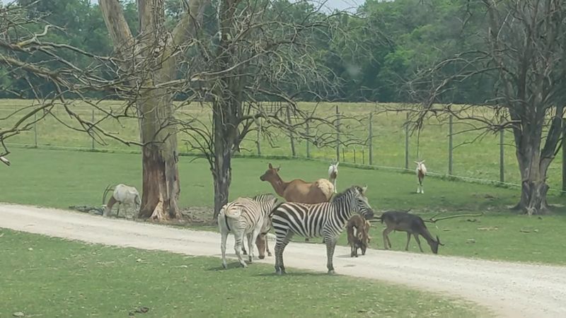 Saturday-Only Hours Require Planning But Ensure Quality Experiences