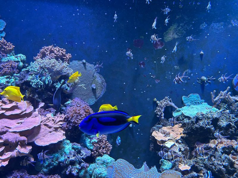 The PPG Aquarium Is Practically a Second Attraction