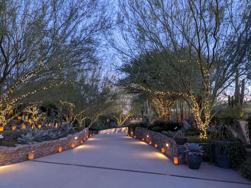 After Dark, the Garden Starts to Glow After Dark, the Garden Starts to Glow
