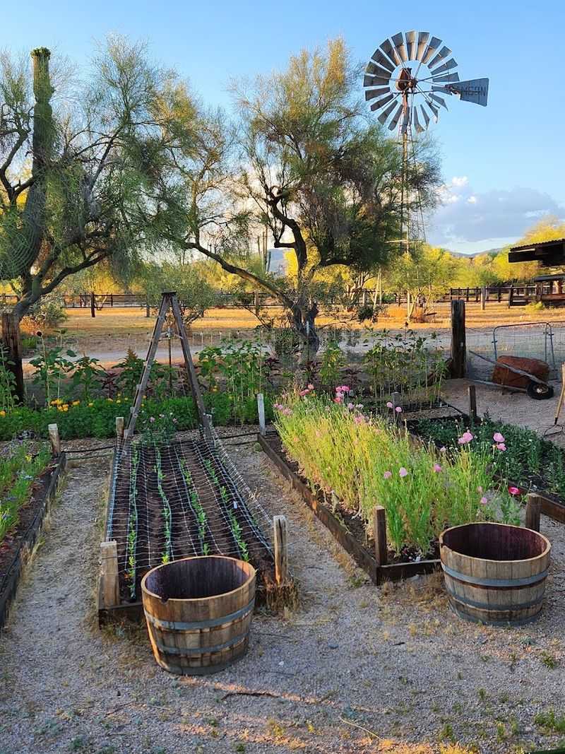 Honeybee Home Flower Farm, Scottsdale