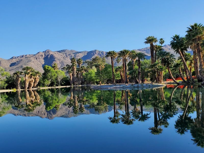 Agua Caliente Park, Tucson, Arizona Agua Caliente Park, Tucson, Arizona