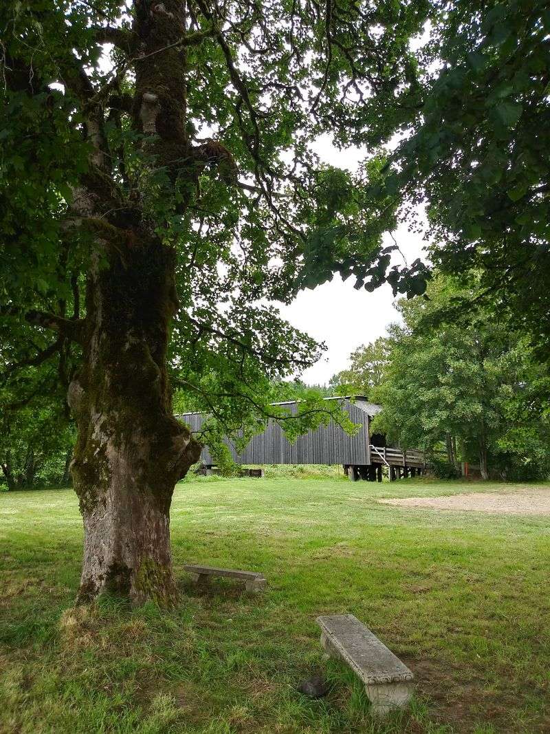 Ahlberg Park Next Door