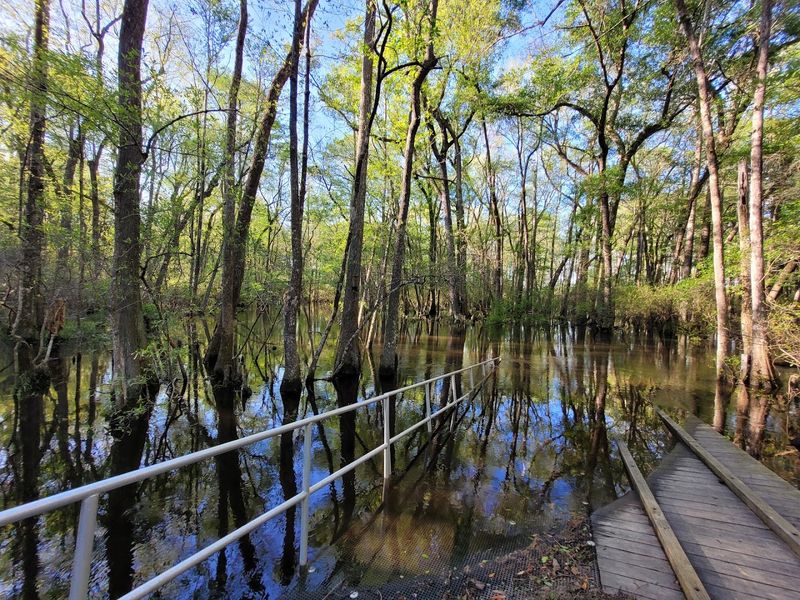 Aiken State Park Canoe Trail, Windsor