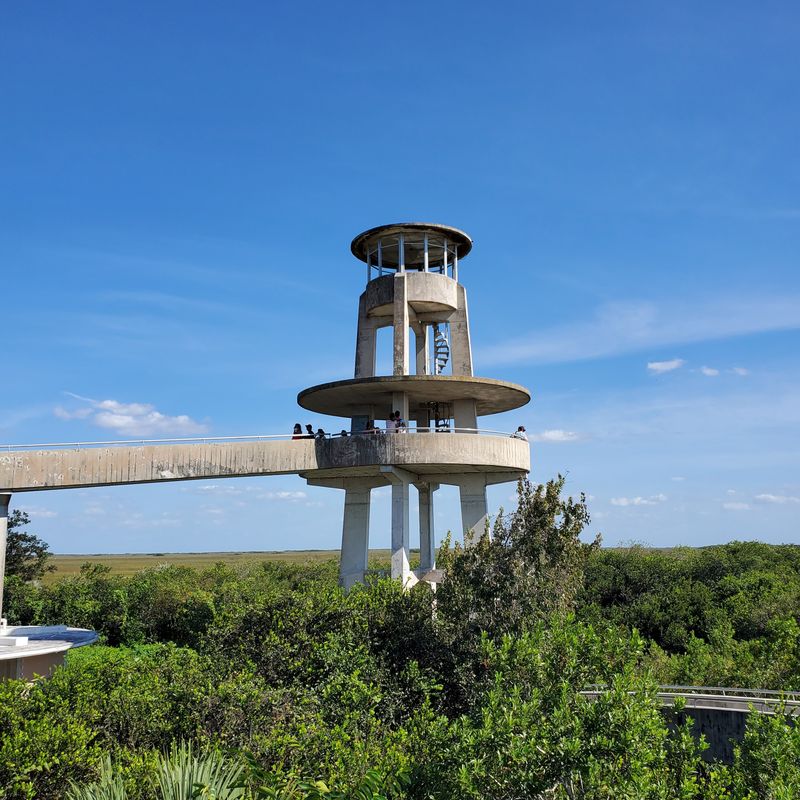 Explore Shark Valley By Tram Or Bike