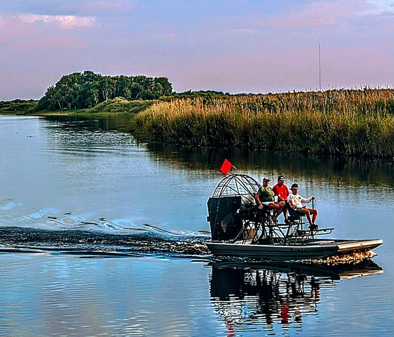 Airboat Rides That Roar Straight Into Wild Florida