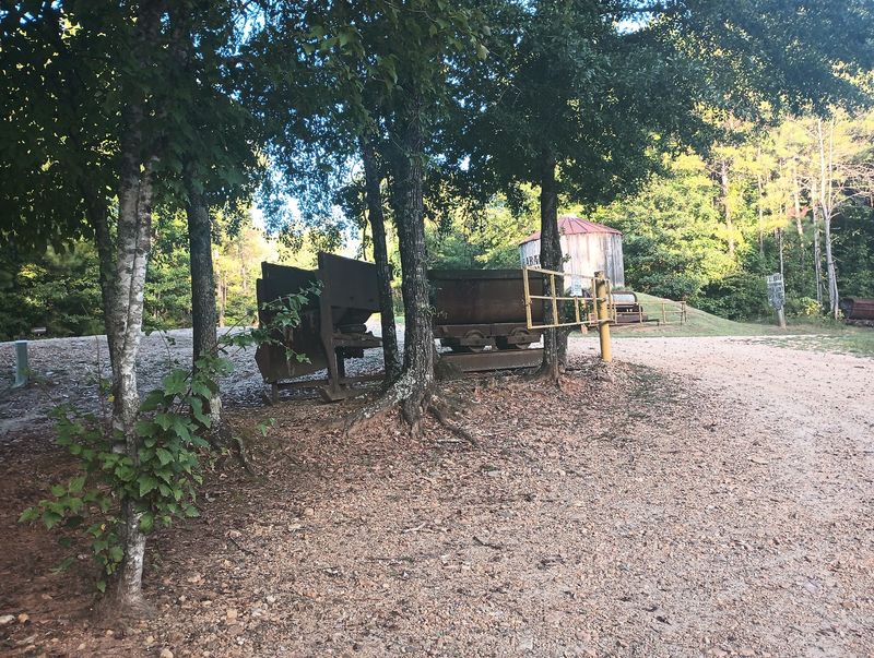 Alabama Had Gold Fever Long Before California Caught It