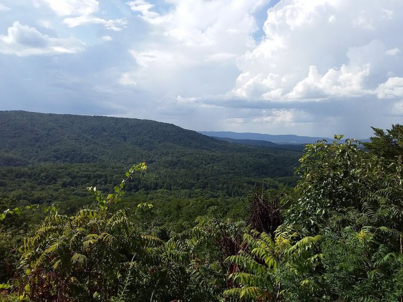 Alabama's Unscripted Nature Show