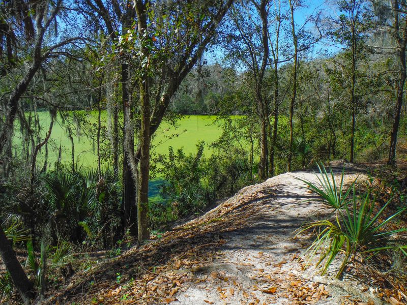 Alafia River State Park, Lithia