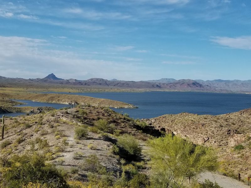 Alamo Lake State Park Campground, Wenden