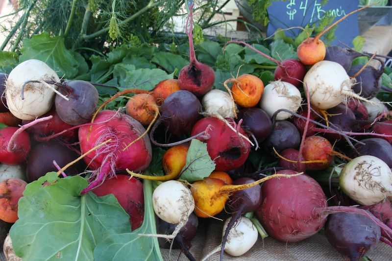 Alamosa Farmers' Market, Alamosa