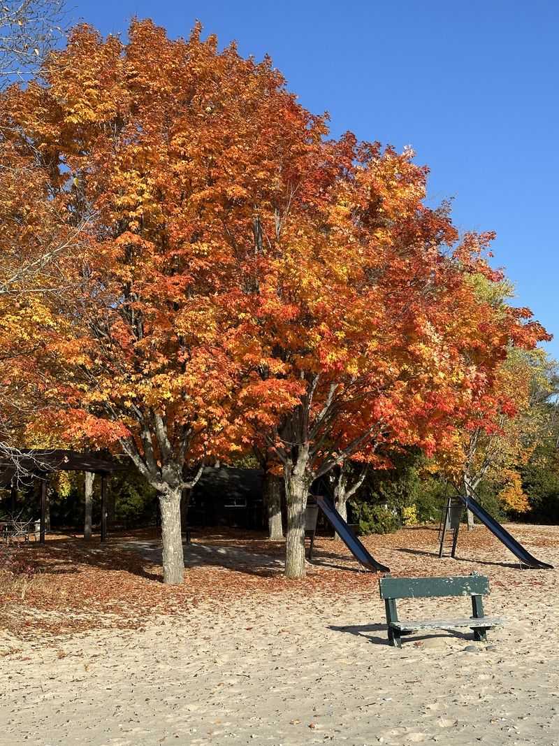 Harrisville State Park, Harrisville