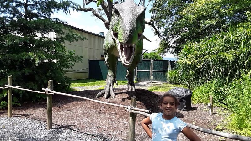 Accessibility And Family-Friendly Features Stand Out