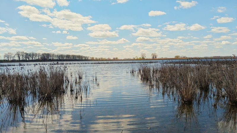 Erie Marsh Preserve, Rockwood