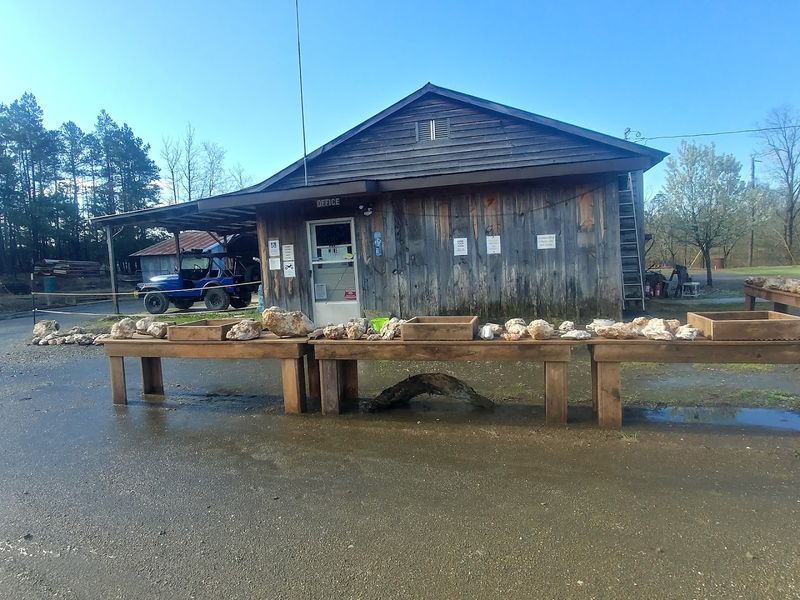 Night Sky Laser Sessions