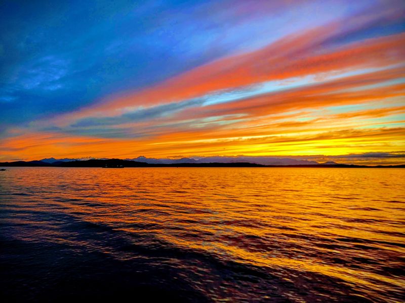 Alki Beach Park Alki Beach Park