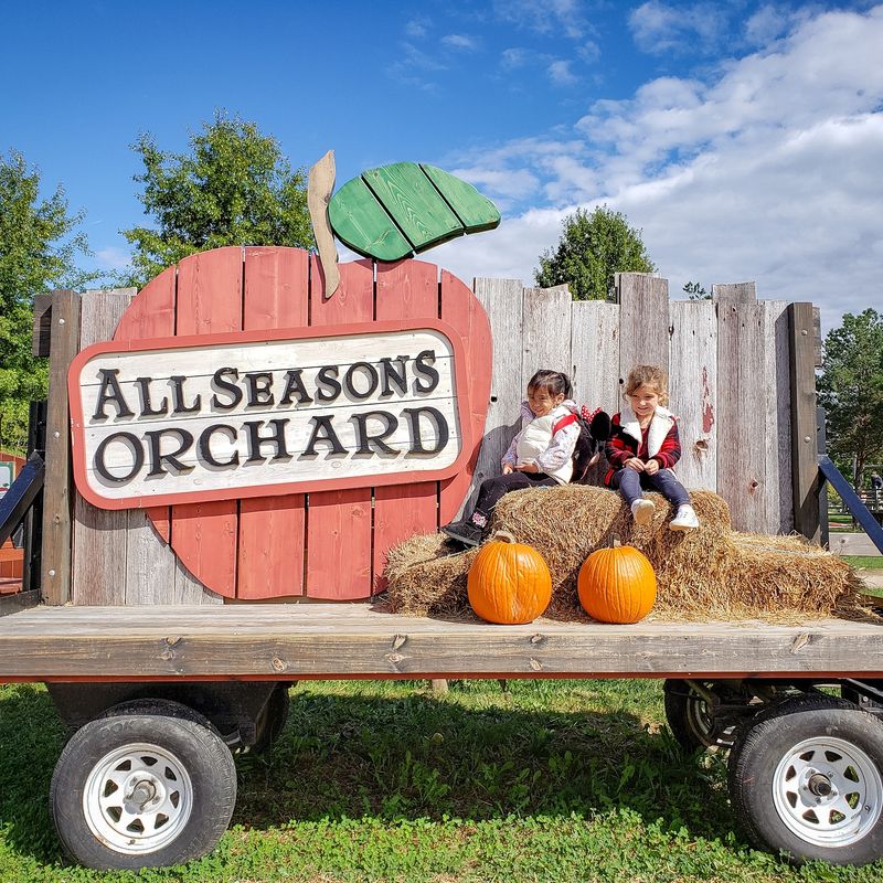 All Seasons Apple Orchard (Woodstock)