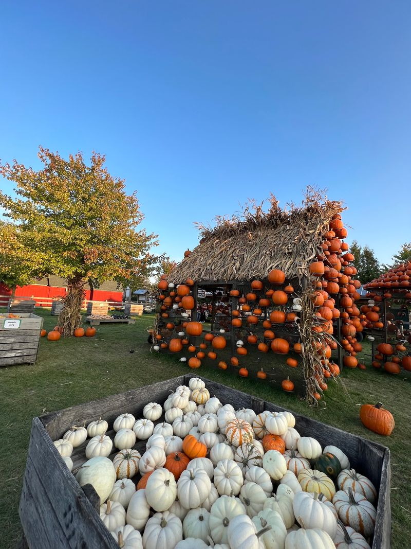 All Seasons Orchard All Seasons Orchard
