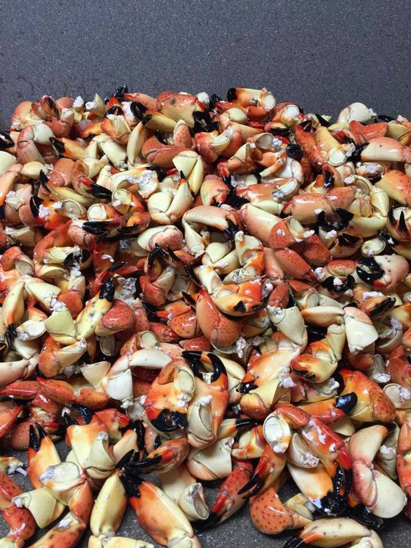 Fresh From The Market Next Door