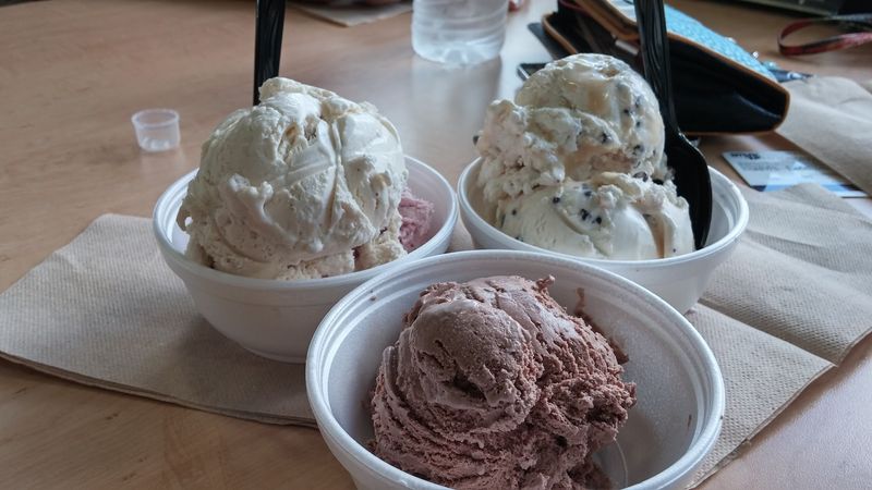 The Campus-Made Ice Cream That Stopped Me Cold