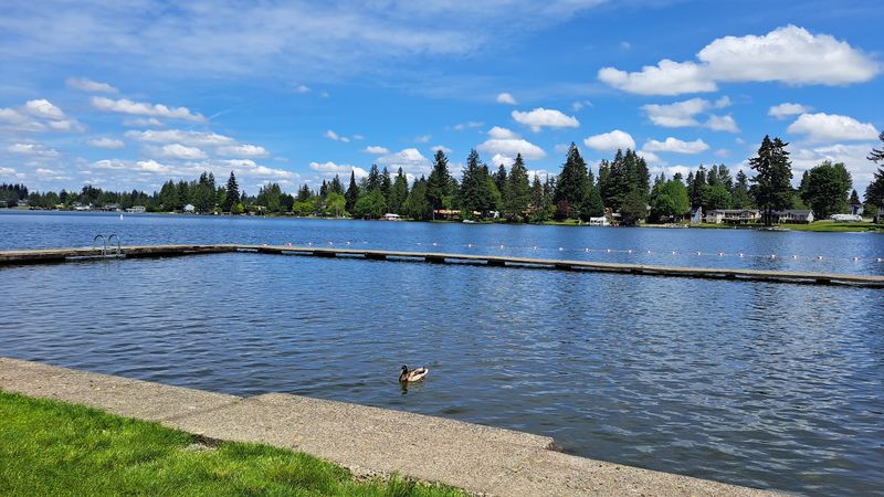 Allan Yorke Park: The Heart Of The Action