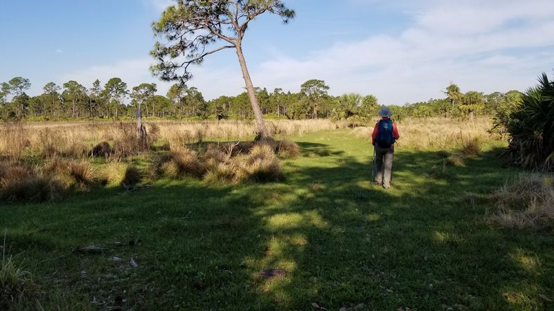 Allapattah Flats Campsite, Indiantown