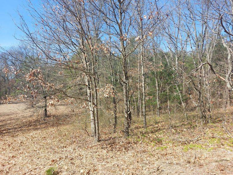 Allegan State Game Area