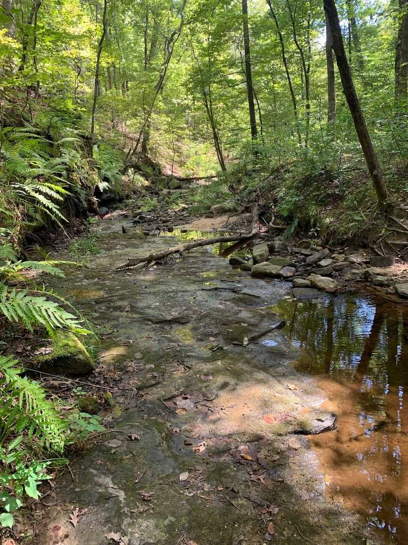 Allen Brohn Memorial Trail At Hickory Canyons Natural Area
