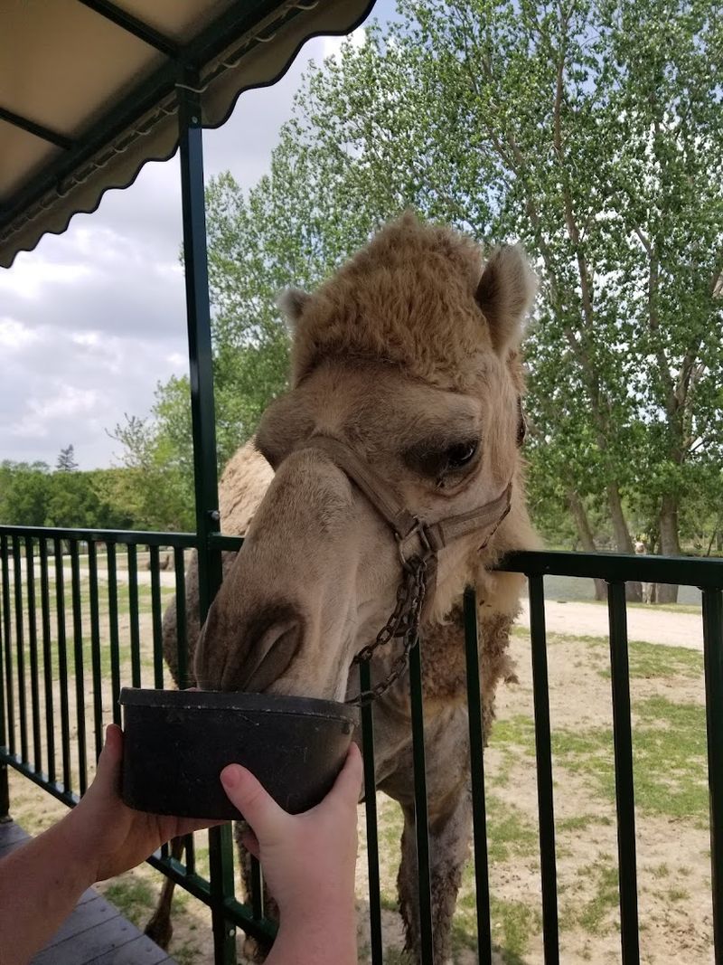 Aikman Wildlife Adventure, Arcola