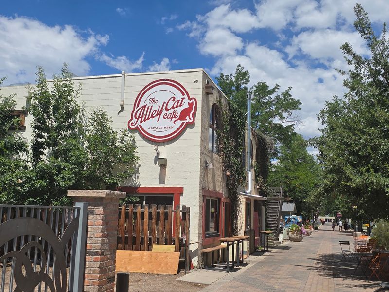 Alleycat Coffee House, Fort Collins