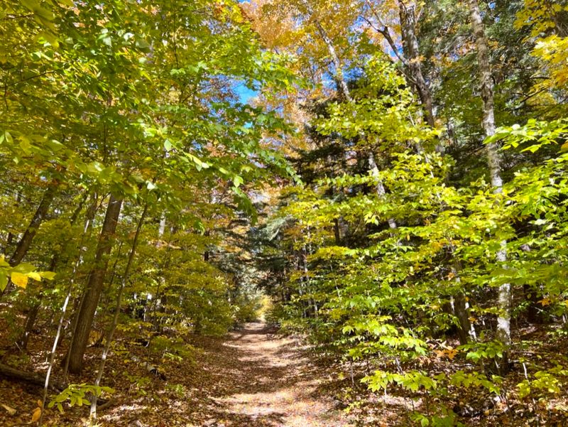 Alligator Hill Trail - Leelanau County