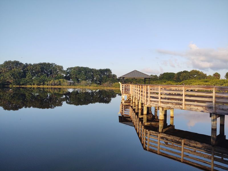 Photography Paradise With Perfect Light