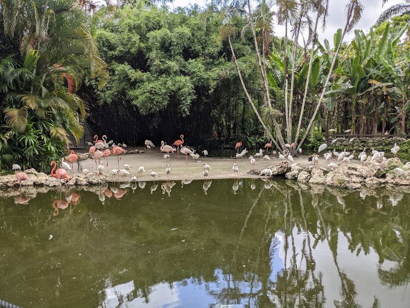 Alligators, Bears, And Bobcats Living Their Best Lives Alligators, Bears, And Bobcats Living Their Best Lives