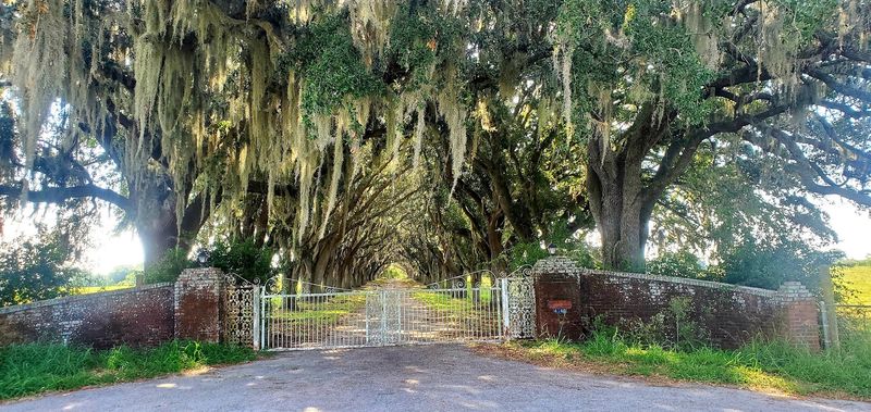 Alligators, Eagles, And Easy Trails At Circle B Bar Reserve
