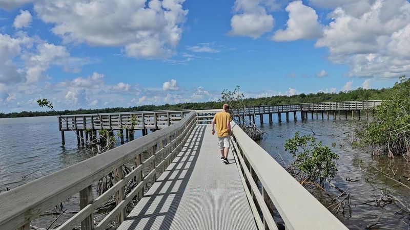 Boardwalk Built For Easy Walking