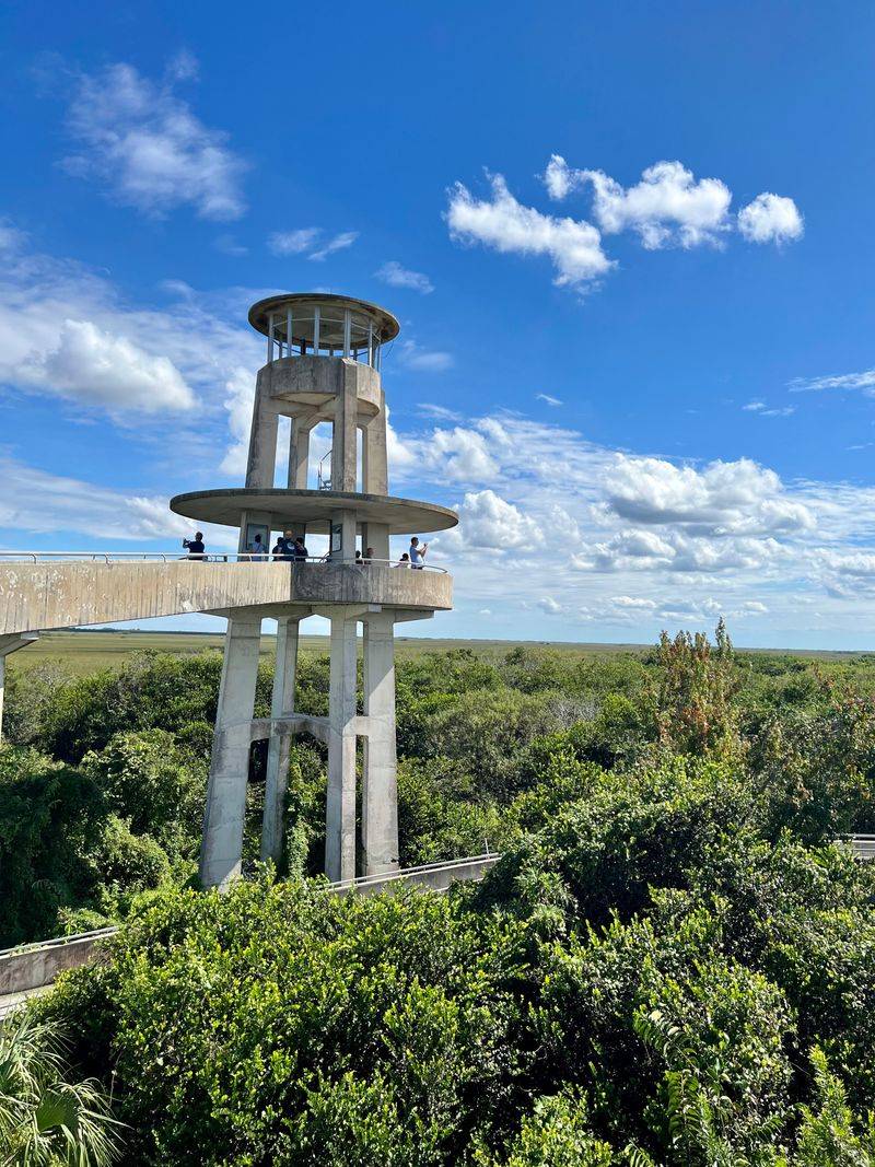 The Observation Tower View