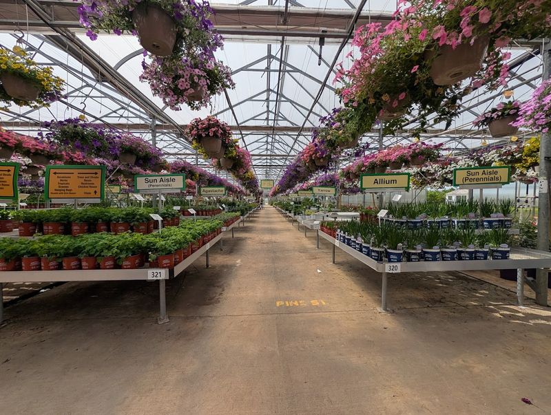 Almost Nine Acres Of Plants