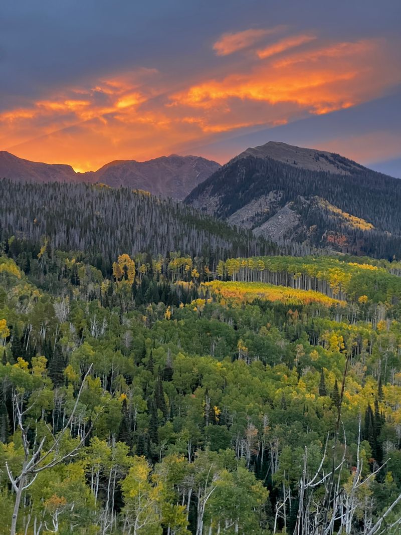 Trails That Keep Giving You Reasons To Return