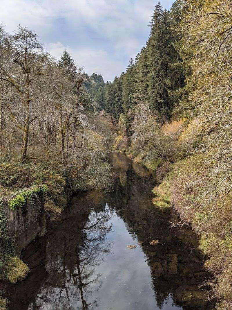 Alsea River Alsea River