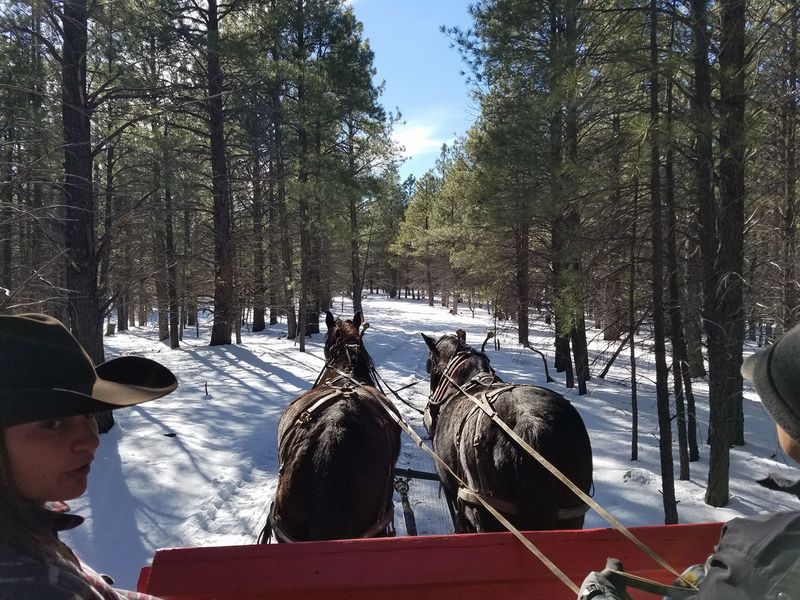 The Magic Of Winter In Flagstaff