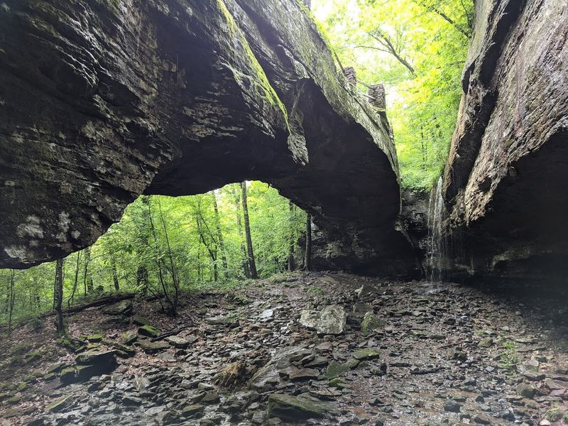Alum Cove Natural Bridge Recreation Area