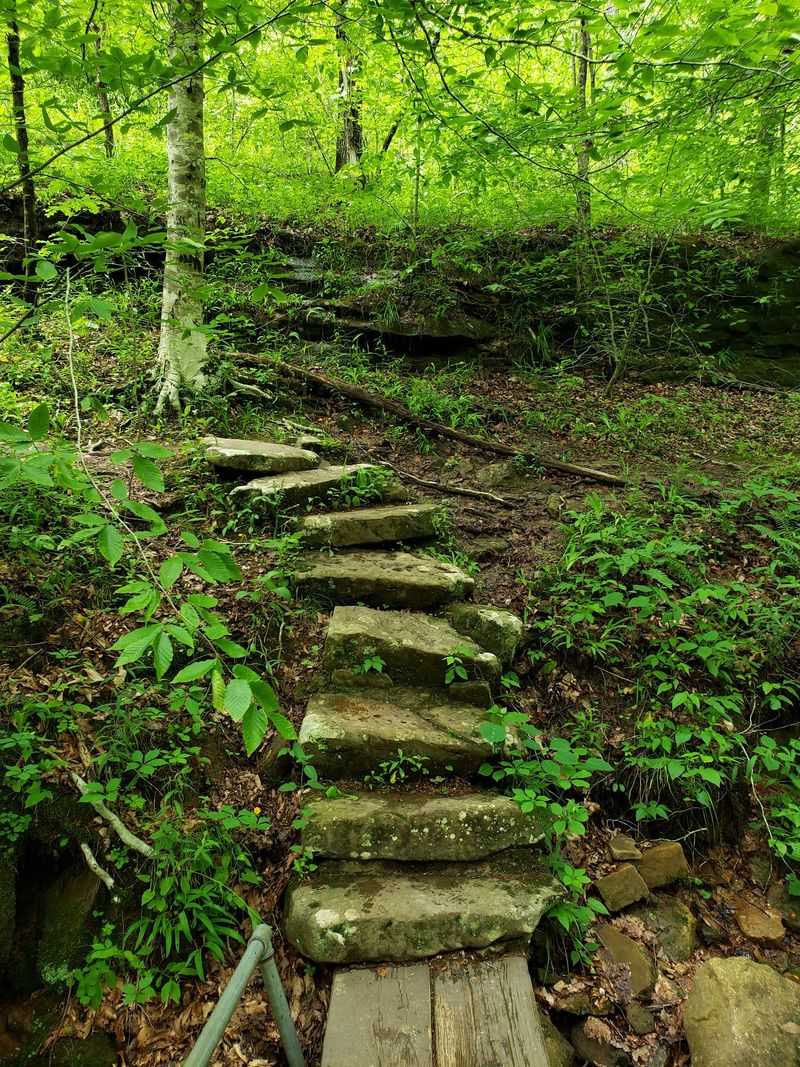 Alum Cove Natural Bridge Recreation Area