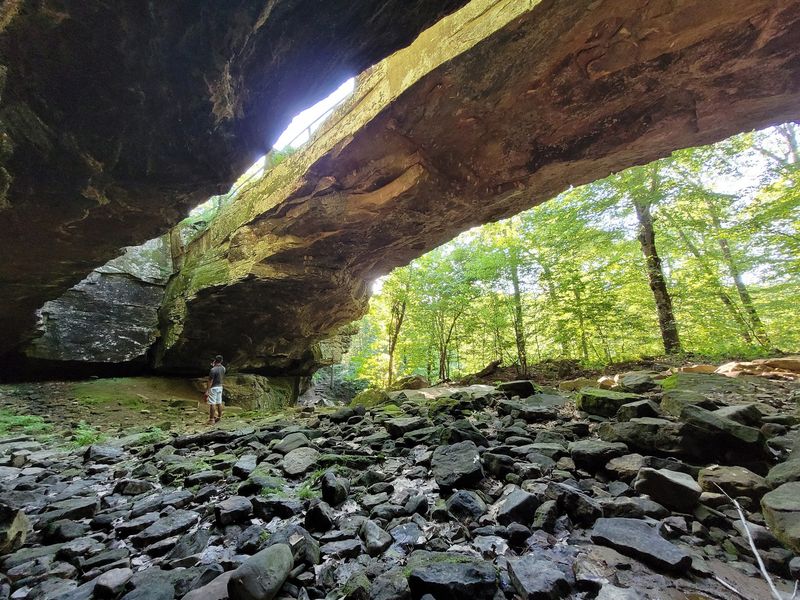 Alum Cove Natural Bridge Recreation Area