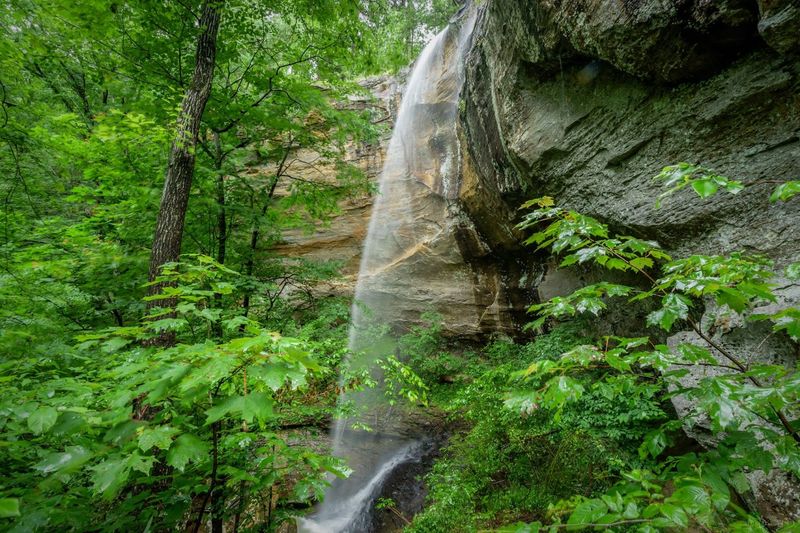 Pedestal Rocks Scenic Area (King's Bluff Trail), Pelsor