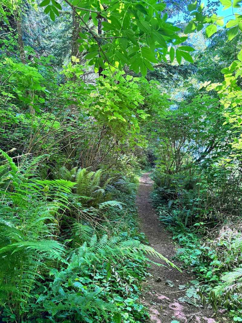 Amanda's Trail Carries A Story Worth Knowing Amanda's Trail Carries A Story Worth Knowing