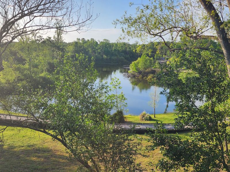 Amazing Views Of The Whole Park