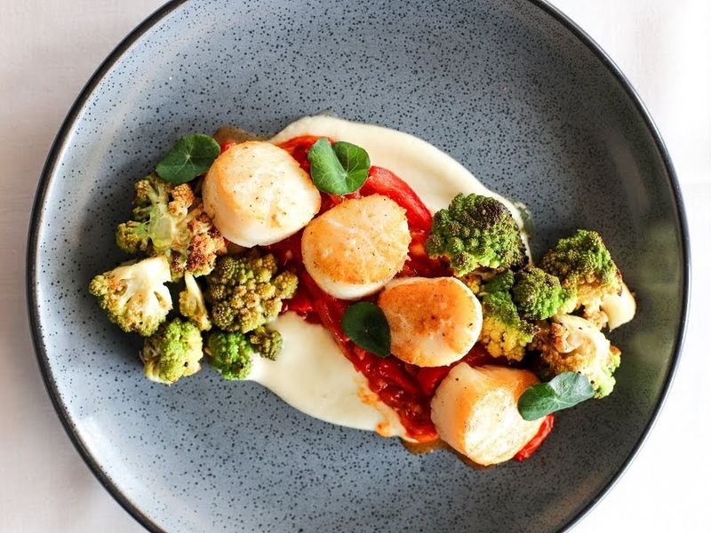 Plan Your Visit To Savona