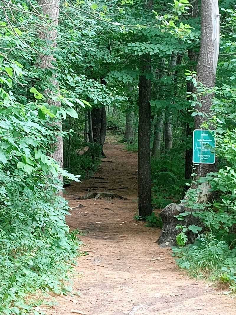The Scenic Steedman Woods Trail System