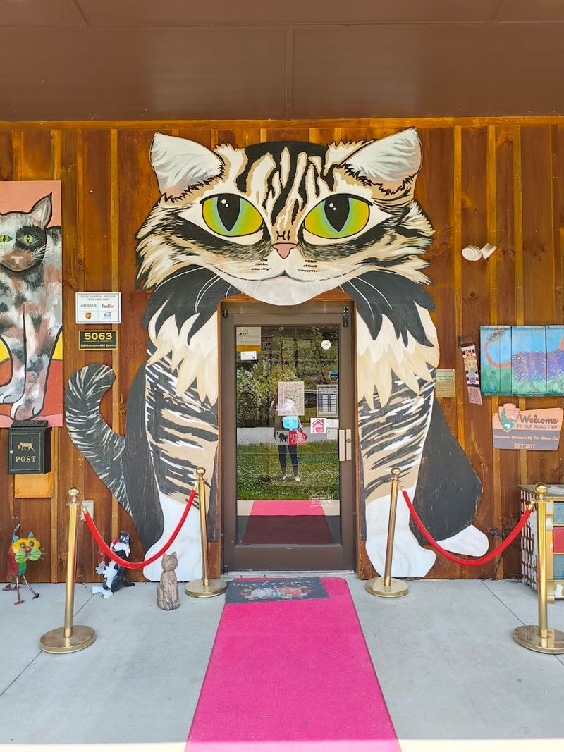 American Museum Of The House Cat