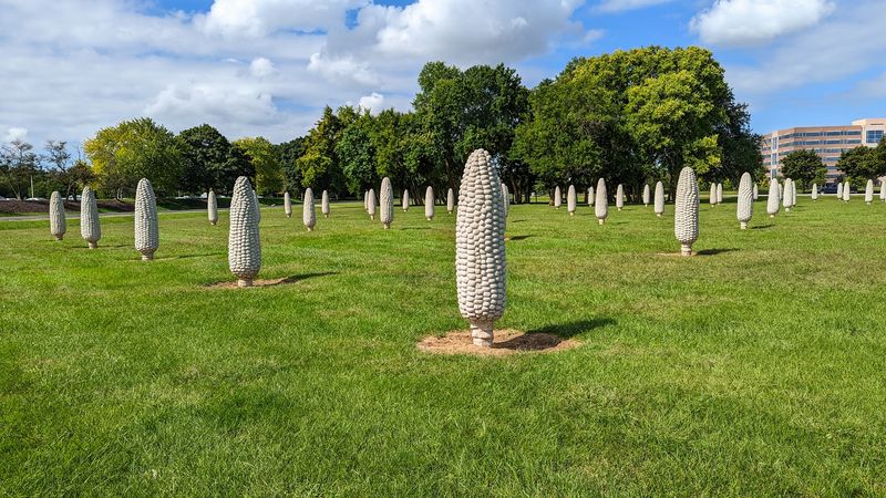 Field of Corn (with Osage Oranges), Dublin, Ohio