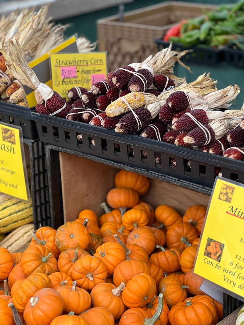 Amish Country Co-op Farmers Market 